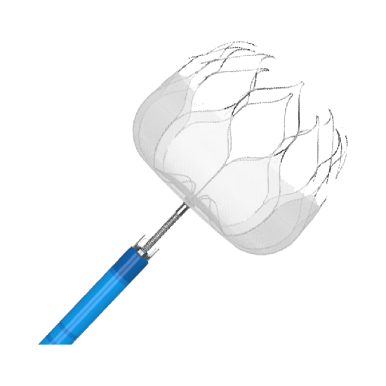 MemoLefort® Left Atrial Appendage (LAA) Occluders System
